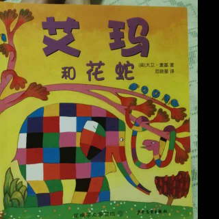 花格子大象艾玛系列12——《艾玛和花蛇》