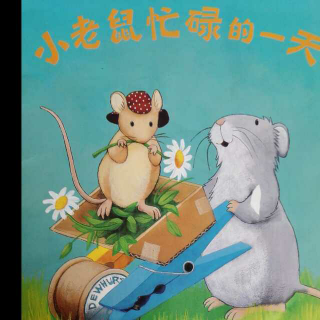 小老鼠🐭忙碌的一天