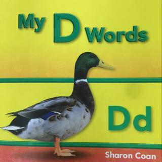 My D Words