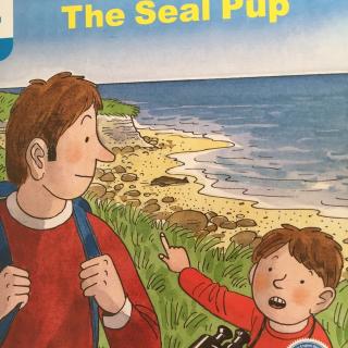 牛津阅读树dd4-6-the seal pup