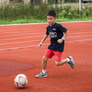 小学三年级上册《灰雀》