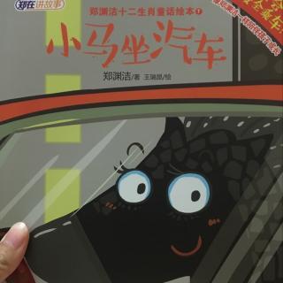 小马坐汽车