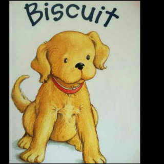 《Biscuit》