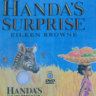 HANDA'S SURPRISE