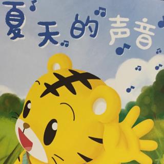 夏天的声音