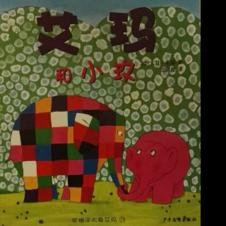 花格子大象艾玛系列13——《艾玛和小玫》