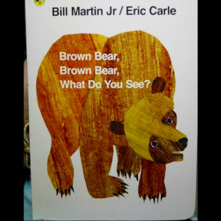 Brown bear Brown bear What do you see