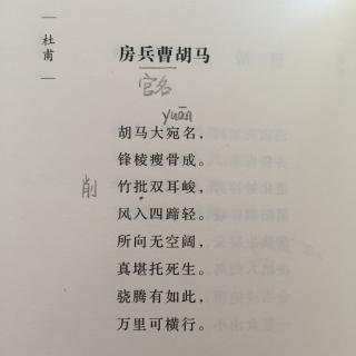 房兵曹胡马拼音版古诗图片