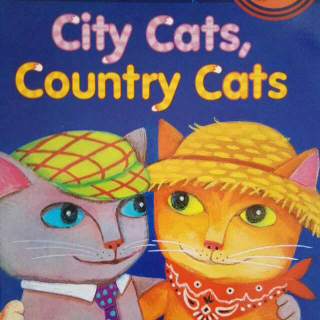 City cats, country cats-story