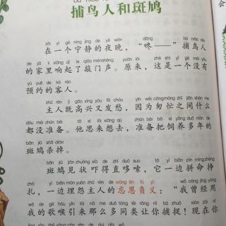 寓言故事《捕鸟人和斑鸠》