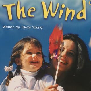 The wind