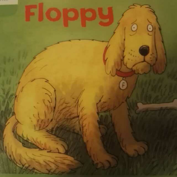poor floppy