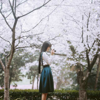 你什么都没有,凭什么岁月静好