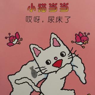 小猫当当 哎呀 尿床了