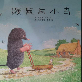 恩育堂紫梅老师绘本分享《鼹鼠和小鸟》