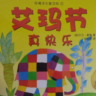 心悦读《花格子大象艾玛-艾玛节真快乐》