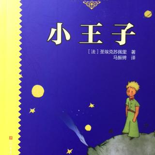 《小王子》18—20