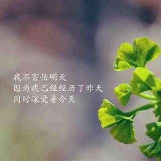 可以平凡，但拒绝平庸