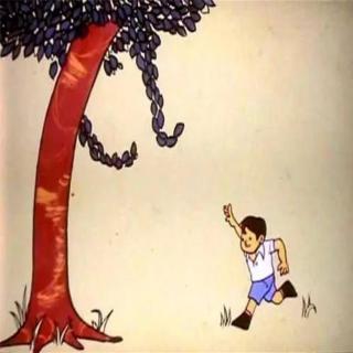 一个小男孩和苹果树的故事 感人催泪