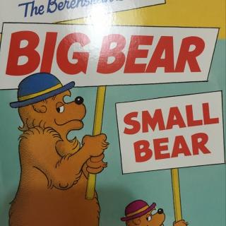 big bear small bear