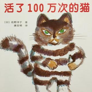 一依开讲啦《活了100万次的猫🐈》