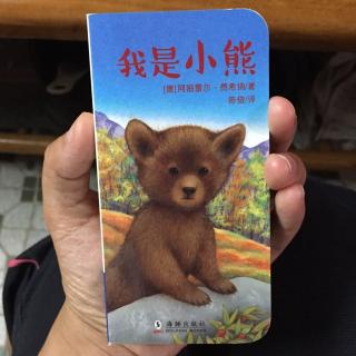 【龙猫读中文绘本】 20160830 我是小熊