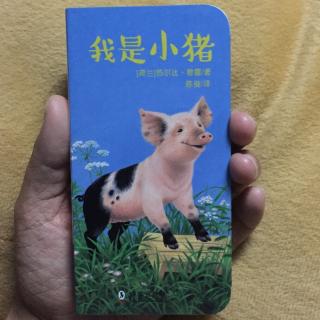 【龙猫读中文绘本】 20160830 我是小猪