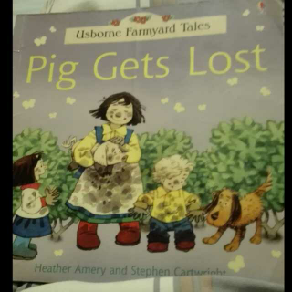 pig gets lost . 猪丢了