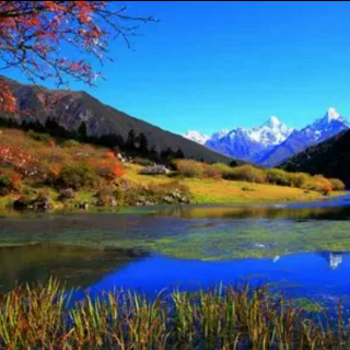 【环球旅行】川藏线的秋之静美