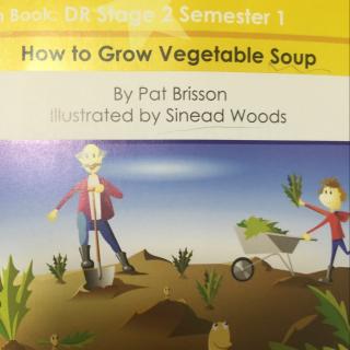 How to Grow Vegetable Soup