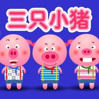 [宝贝睡前故事] 三只小猪