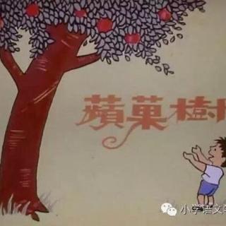 苹果树