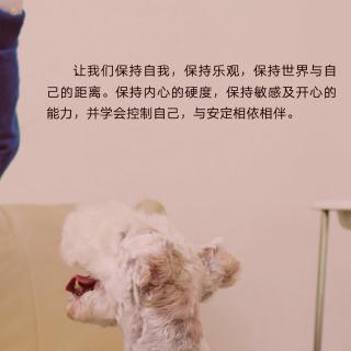 给自己一份稳稳的幸福