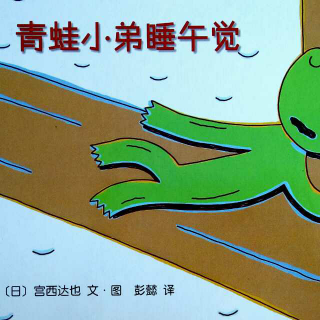 青蛙小弟睡午觉🐸