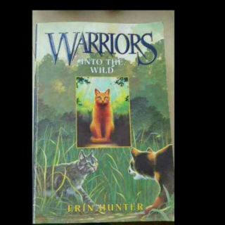 Warriors Into The Wild 8上
