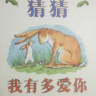 大四班 魏楚秦 《猜猜我有多爱你》