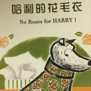 哈利的花毛衣