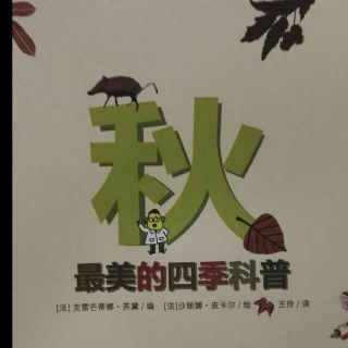 最美的四季科普之秋天的植物