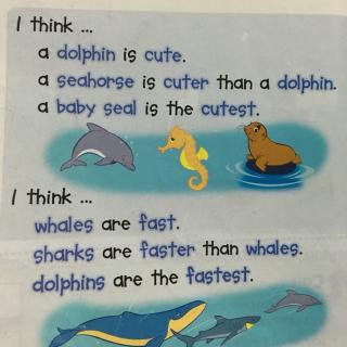 Unit 3 Chant Sea Animals