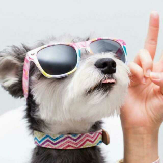 俄文诗朗诵《假如生活欺骗了你…》