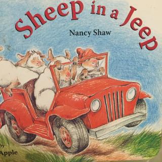 sheep in a jeep