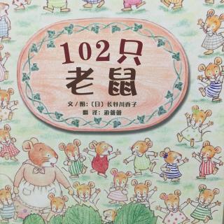 中文绘本《102只老鼠》