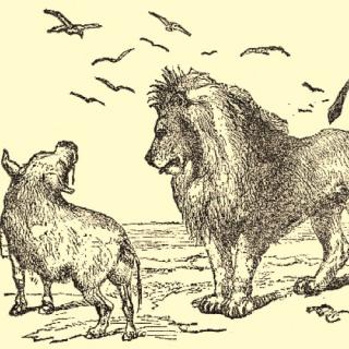 听故事学英文｜狮子与野猪 The Lion and the Boar