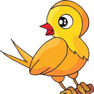 2016-09-08 鸟妈妈讲故事