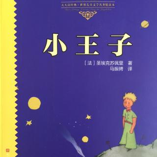 《小王子》21