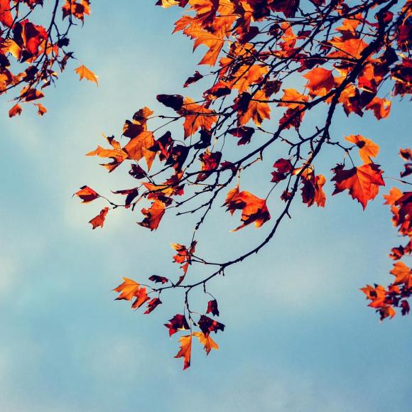 山和海--陈敬容