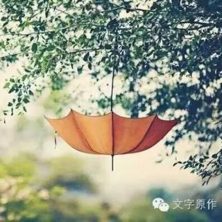 阿司匹林与无刺蔷薇/加加