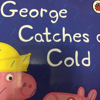 跟读-George catches a cold-Day 5