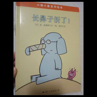 长鼻子折了