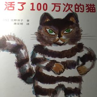 绘本故事《活了100万次的猫》